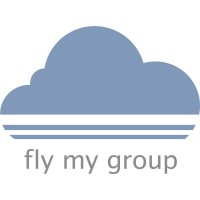 Fly My Group logo - Similar company to Global Doing Good