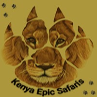 Kenya Epic Safaris logo - Similar company to Americans Promoting Study Abroad