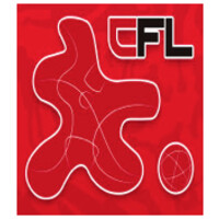 BEIJING STAR OF FOOTBALL WORLD INVESTMENT (北京足坛之星投资有限公司）