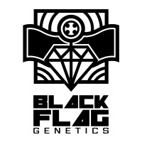 Black Flag Genetics logo - Similar company to Cradle Genetics Sa (Pty) Ltd