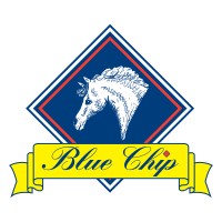 Blue Chip Feed Ltd logo - Similar company to Horse First Supplements