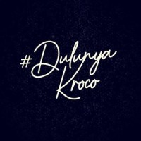 DulunyaKroco logo - Similar company to Thespart