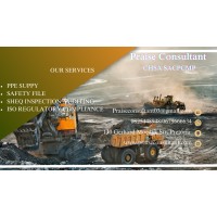 Praise Consultant logo - Similar company to Ntc Drilling & Blasting