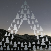 Black Forest Digital Assets