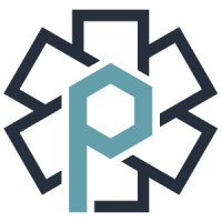 Prodigy EMS logo - Similar company to National Ems Management Association (Nemsma)