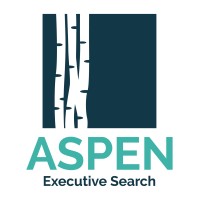ASPEN Executive Search logo - Similar company to Stork, An Outsourced Game Development Studio