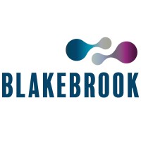 Blakebrook logo - Similar company to Rt Consulting