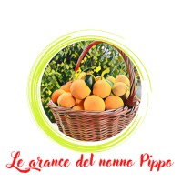 LE ARANCE DEL NONNO PIPPO logo - Similar company to Ag.Impresa - Gruppo Apm Srl