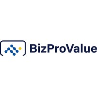 BizProValue logo - Similar company to Intufo Inc.