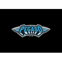 Pegaso Management Ltd. logo - Similar company to Dogodot