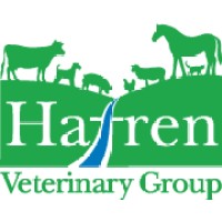 Hafren Veterinary Group logo - Similar company to Nice Veterinary Service