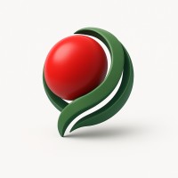 Japan-Arab States Network logo - Similar company to Barisbo Design