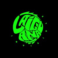 La Iguana Invisible logo - Similar company to 7Starsmodels