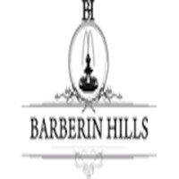Barberin Hills Luxury Massage Center & SPA a p.zza Barberini logo - Similar company to Barberini Spa