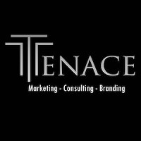 Tenace Consulting logo - Similar company to Blind Tigers Sàrl