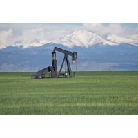 Guy L. Brown Farms & Energy