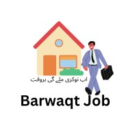 Barwaqt Job logo - Similar company to Peaches & Pie Software Developers