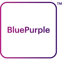 Blue Purple logo - Similar company to Capital Resources