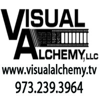 Visual Alchemy LLC logo - Similar company to Platinum Minds