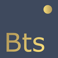 BTS GROUP ITALY logo - Similar company to Bts Group - Travel
