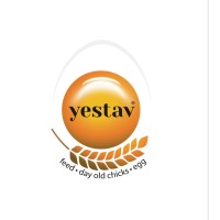 Yestav logo - Similar company to Paragroupais