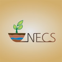 NECS_UFLA logo - Similar company to Núcleo De Estudos Em Soja E Feijão - Ufla
