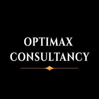 Optimax Consultancy logo - Similar company to Raiden Technologies