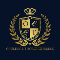 Opulence Thoroughbreds logo - Similar company to Starlight Racing