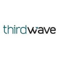Third Wave Consulting Inc. logo - Similar company to Wave Consulting Solutions, Llc