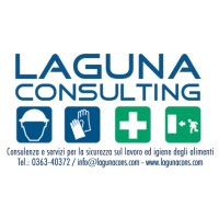 Laguna Consulting
