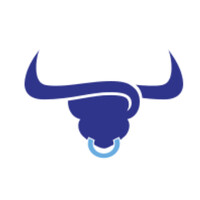 Blount Street Capital logo - Similar company to South Street Capital, Llc