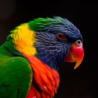 Lori Comunicação logo - Similar company to Lore Media