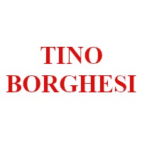 TINO BORGHESI TRASPORTI S.R.L. logo - Similar company to Studio Legale Fenaroli