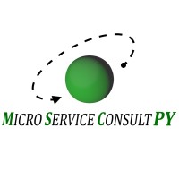 Micro Service Consult Paraguay logo - Similar company to Micro Service Consult Gmbh