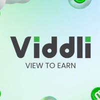 Viddli logo - Similar company to 99Blocks