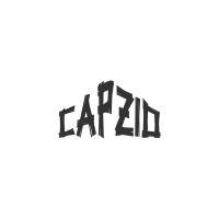 Capzio AB logo - Similar company to The National