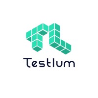 Testlum logo - Similar company to Knubisoft