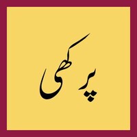 Parkhi logo - Similar company to Codifyer