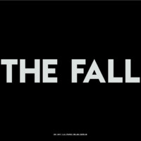 THE FALL Agency logo - Similar company to Dreamers Of Fashion