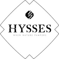 HYSSES logo - Similar company to Prodesk Virtual Services