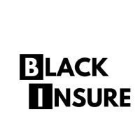 Black Insure logo - Similar company to Coachcube