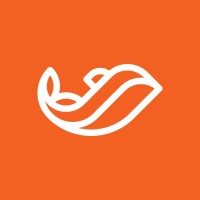 Dolphin Academy logo - Similar company to Swimming Pool