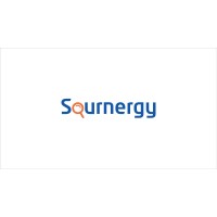 Suzhou Sournergy (IT) Co., Ltd. logo - Similar company to Qingdao Carebios Biological Technology Co.,Ltd.