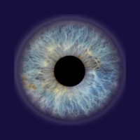 Open to Grow logo - Similar company to Encom