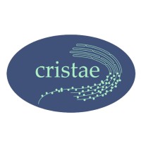 Cristae Consulting LLC logo - Similar company to Mjre