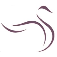Luccello, Inc. logo - Similar company to Aso Systems (Sba 8A, Stars Iii, Cmmi Lvl3, Iso 9001, Sba Hubzone)