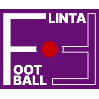FLINTA Football logo - Similar company to Asc Sdw