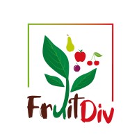 FRUITDIV logo - Similar company to Pro-Wild