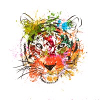 One Tiger Media Solutions LTD logo - Similar company to Scalealchemy.Io