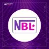 NancyBest Legacy Nigeria Limited logo - Similar company to Pivot Pathways